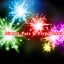 Diwali Fair & Fireworks 2016